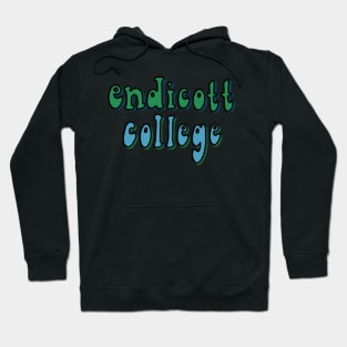 Endicott College Hoodie